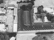 Nueva Internacional (2013)