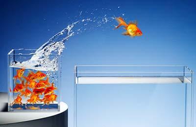 Comienza a abrir los ojos a las oportunidades Oportunidad