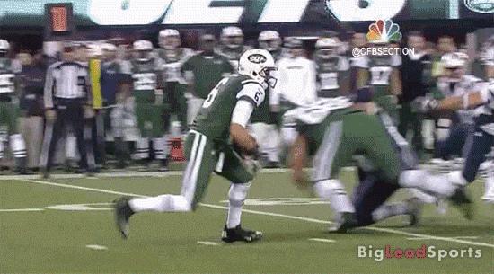 Mark Sanchez, el rey de los GIF animados