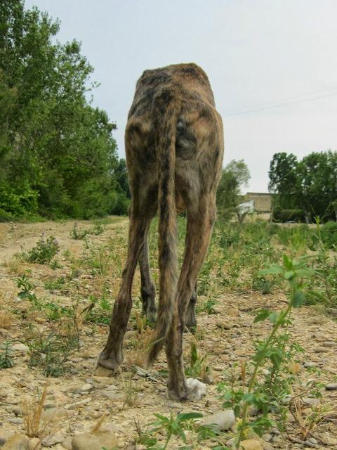 Envejecer es vivir y yo sigo viviendo.