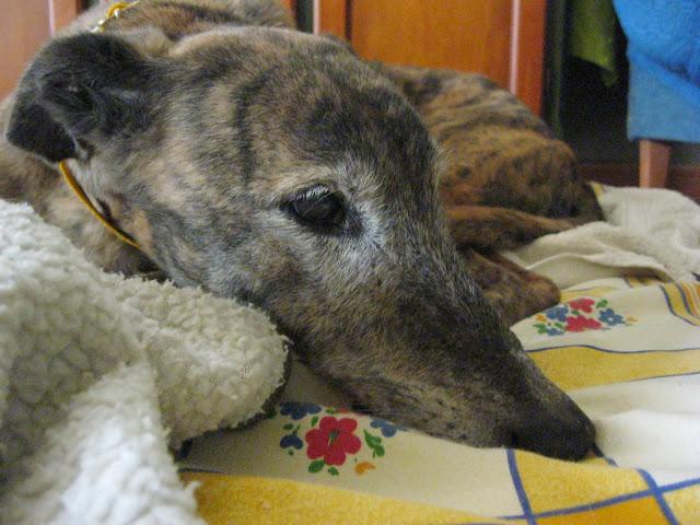 Envejecer es vivir y yo sigo viviendo.