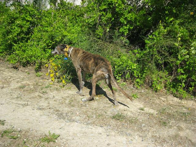 Envejecer es vivir y yo sigo viviendo.