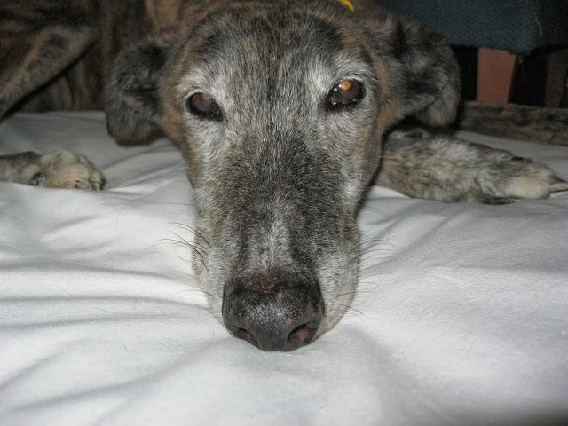 Envejecer es vivir y yo sigo viviendo.