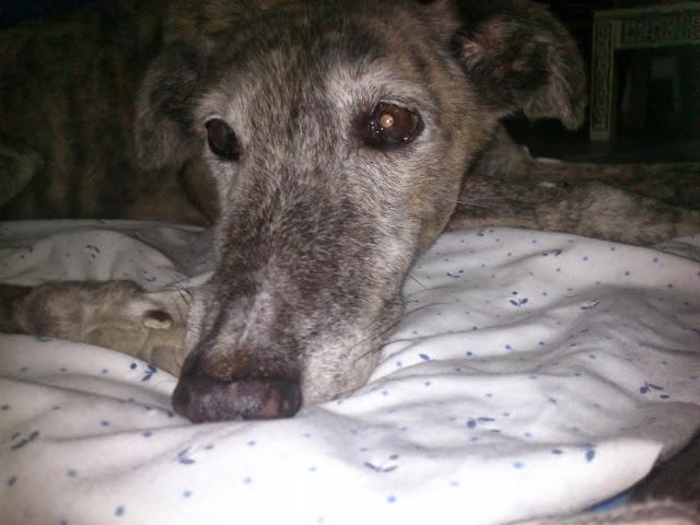 Envejecer es vivir y yo sigo viviendo.