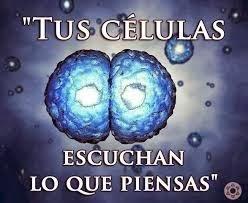 TUS CELULAS ESCUCHAN LO QUE DICES