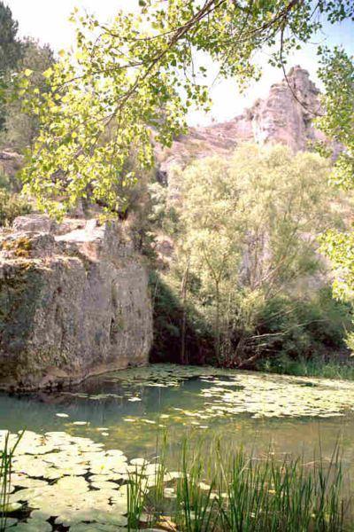 Cañón del Río Lobos (Soria) Nenúfares_río_Lobos_lugares_historia