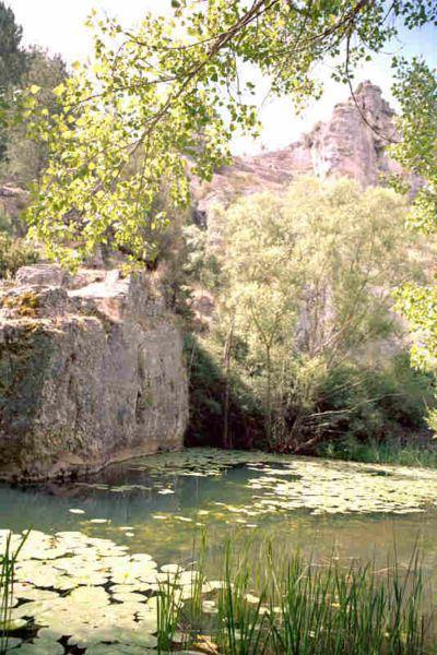 Nenúfares_río_Lobos_lugares_historia