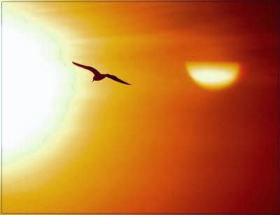 Sé optimista y no mires con quién