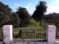 Domingo Ordoñana: cuando la estancia se hace empresa