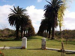 Domingo Ordoñana: cuando la estancia se hace empresa