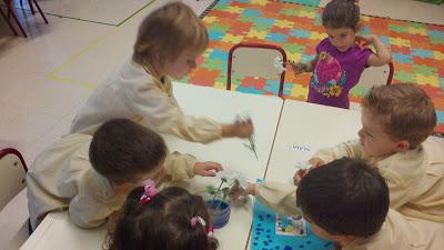 TALLER DE EXPERIMENTACIÓN: TEÑIMOS FLORES