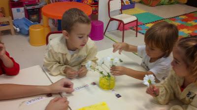 TALLER DE EXPERIMENTACIÓN: TEÑIMOS FLORES