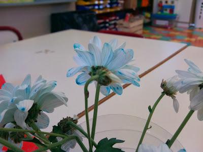 TALLER DE EXPERIMENTACIÓN: TEÑIMOS FLORES