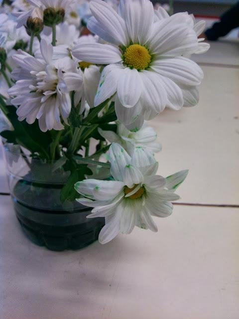 TALLER DE EXPERIMENTACIÓN: TEÑIMOS FLORES