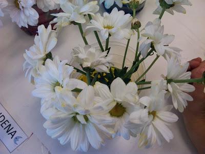 TALLER DE EXPERIMENTACIÓN: TEÑIMOS FLORES