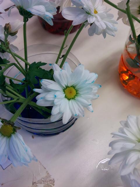 TALLER DE EXPERIMENTACIÓN: TEÑIMOS FLORES