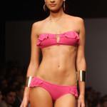 Zingara Exotic Island PV 2014