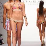 Zingara Exotic Island PV 2014