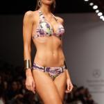 Zingara Exotic Island PV 2014