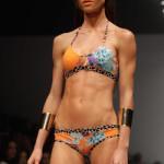 Zingara Exotic Island PV 2014