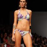 Zingara Exotic Island PV 2014