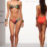 Zingara Exotic Island PV 2014