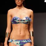 Zingara Exotic Island PV 2014