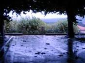 Alameda ambiente otoñal