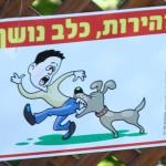 mordeduras de perros