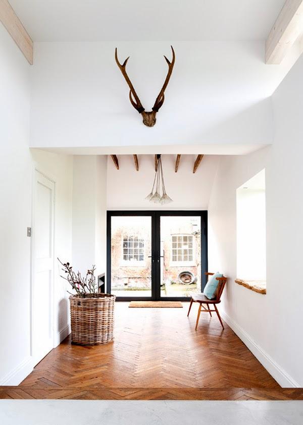 CUESTIÓN DE CUERNOS