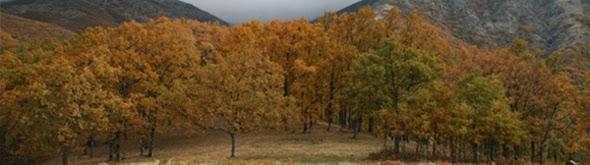 Otoño en el Valle: paraíso de la fotografía