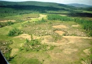 Tunguska, 1908. Cuando el cielo golpea