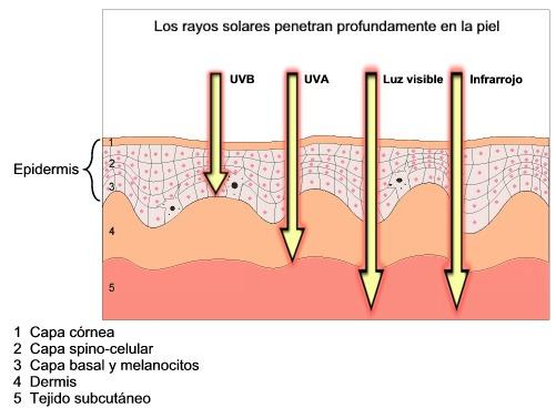 Rayos UVA y UVB, peligrosas radiaciones.