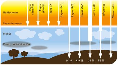 Rayos UVA y UVB, peligrosas radiaciones.