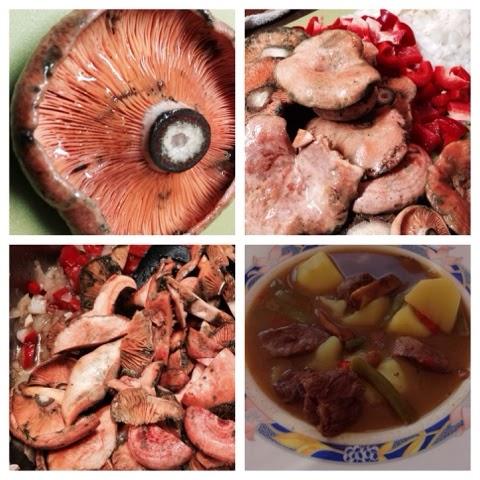 Patatas con carne y niscalos.