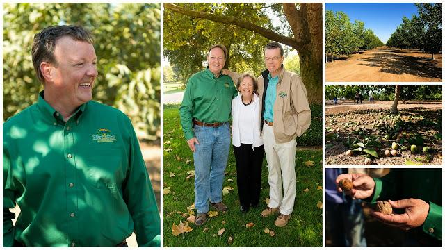 Nueces de California (I). El delicioso fruto seco con propiedades antioxidantes