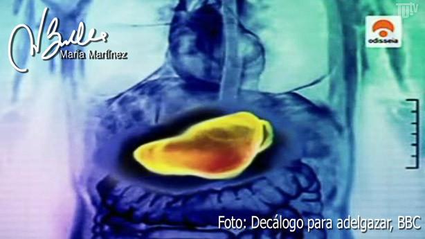 Sopa-Quema-Grasa-funcion