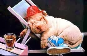 Cerrado por vacaciones