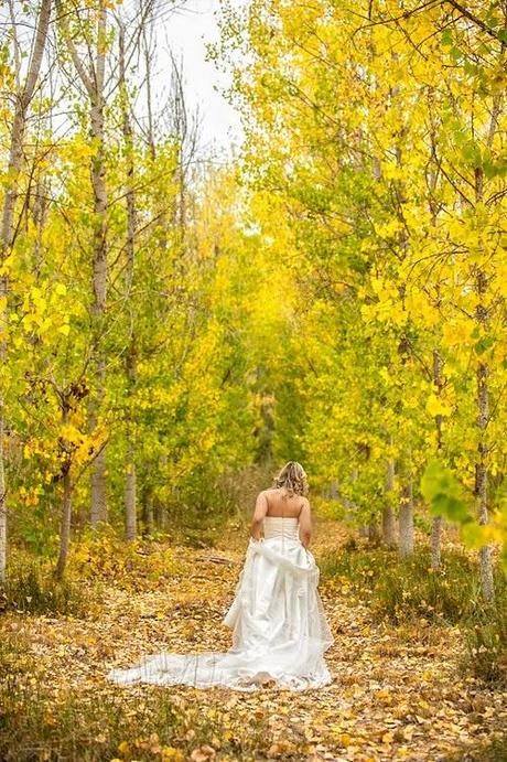 Javier Poveda - Fotógrafo de Bodas Requena (Valencia)