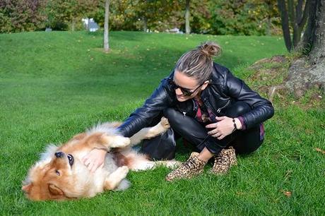 Outfit Low Cost: Mix & Mix Outfit Low Cost: Mix & Mix