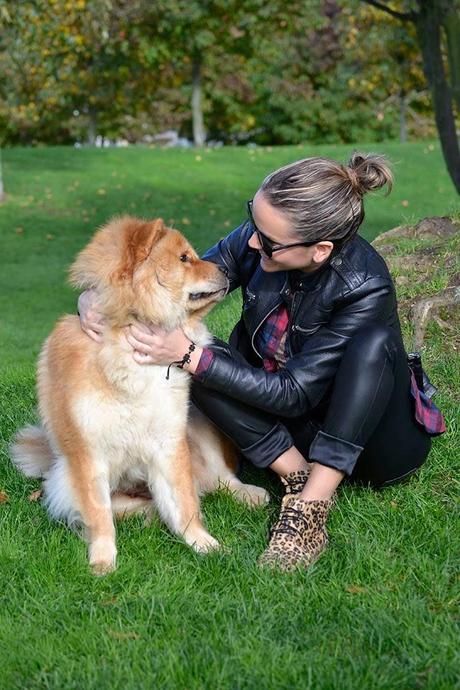 Outfit Low Cost: Mix & Mix Outfit Low Cost: Mix & Mix