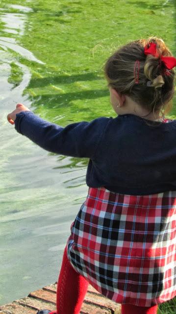 OUTLET DELOLAS UN OUTLET PARA NIÑOS