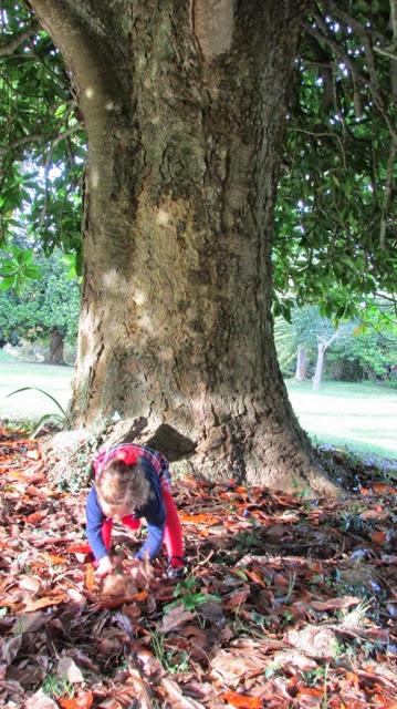 OUTLET DELOLAS UN OUTLET PARA NIÑOS