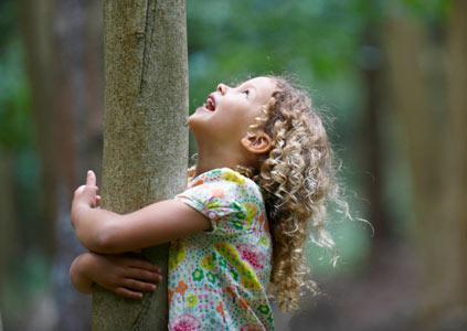 El BOSQUE, mi MAESTRO El BOSQUE, mi MAESTRO