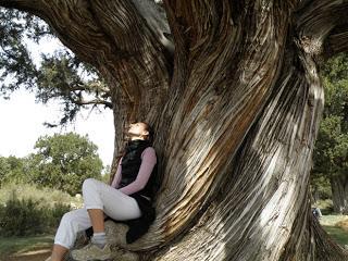 El BOSQUE, mi MAESTRO El BOSQUE, mi MAESTRO