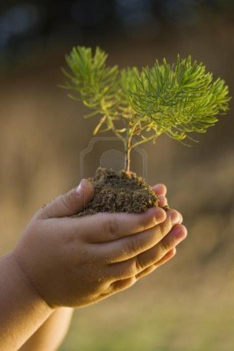 El BOSQUE, mi MAESTRO El BOSQUE, mi MAESTRO