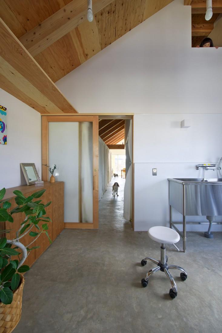 Live/Work Dog Grooming Salon by Horibe Naoko Architects - Remodelista