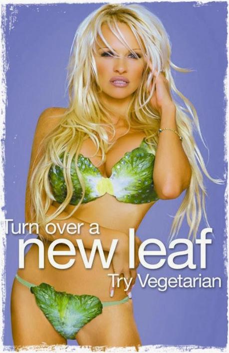 Cómo SER VEGETARIANO