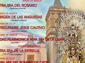 Opta colaborar