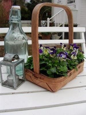 Decorando Estilo Rustico, con Botellas y Botellones